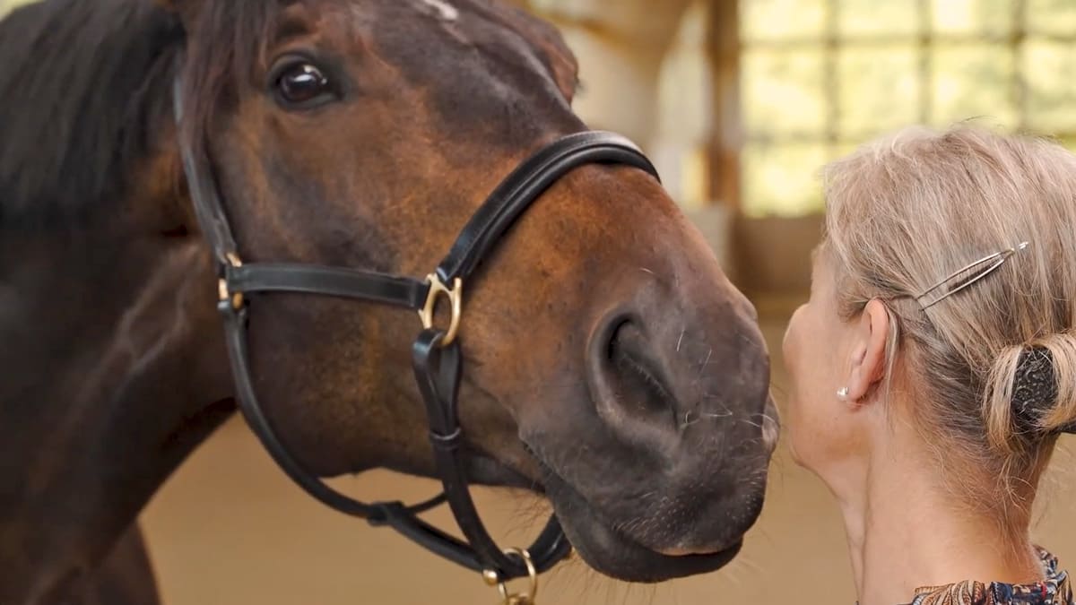 horsecoaching_sequence-anjaschacht_edit_1200x675_c Julia Mozar - Spiritual Essence