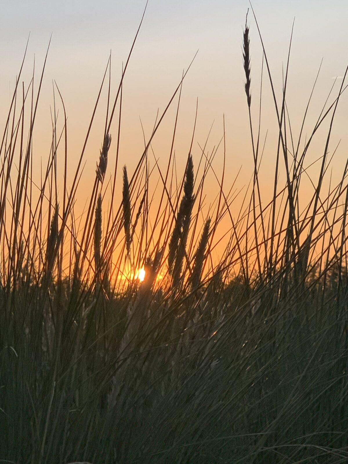 Am Strand