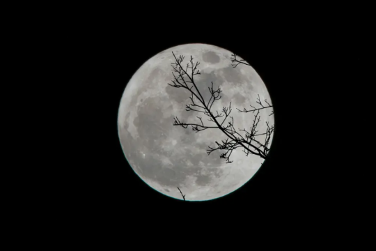 Vollmond-Meditation - Nadine Julia Mozar