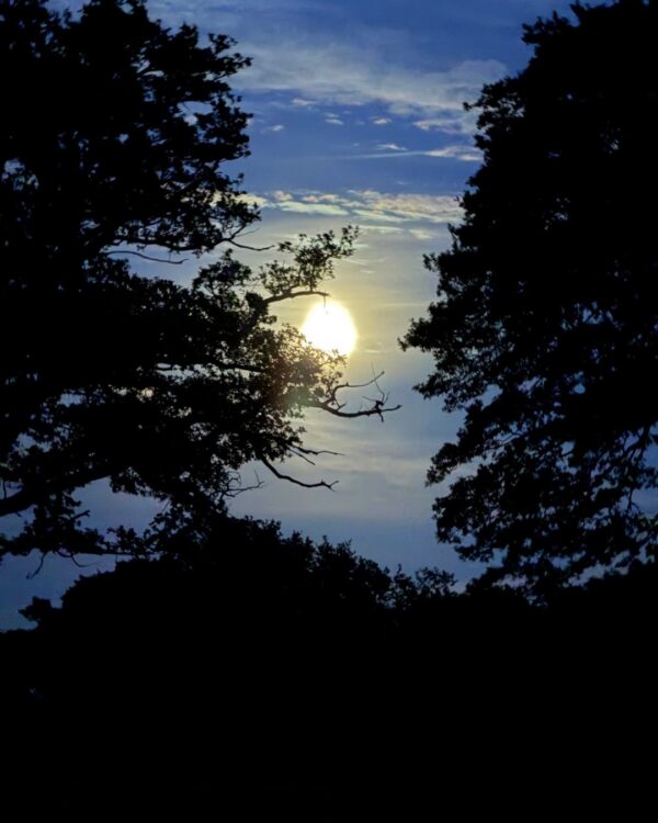 Vollmond Okt 26