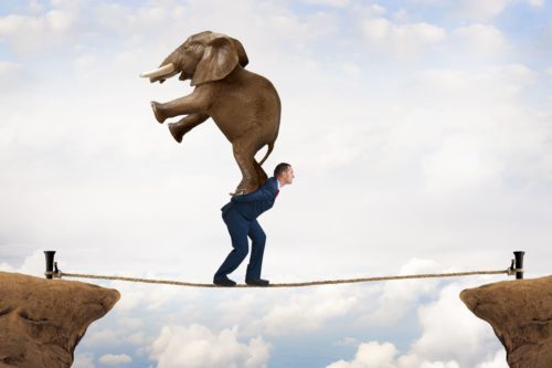 Business Mann trägt Elefant über ein Seil - Was ist Resilienz? - Julia Mozar